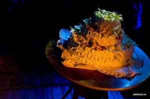 Десятилетие "Студумки"