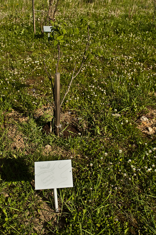 05/06/10 Рок за Бобров