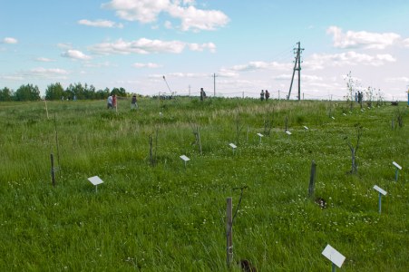 05/06/10 Рок за Бобров