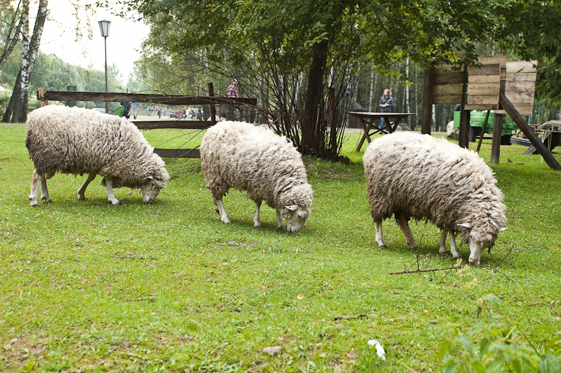 03/07/10 Пикник @ Крутогорье