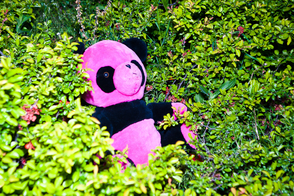 25/05/11 Open-Air Fest «Телепортация» @ ЦТДиМ «Виктория»