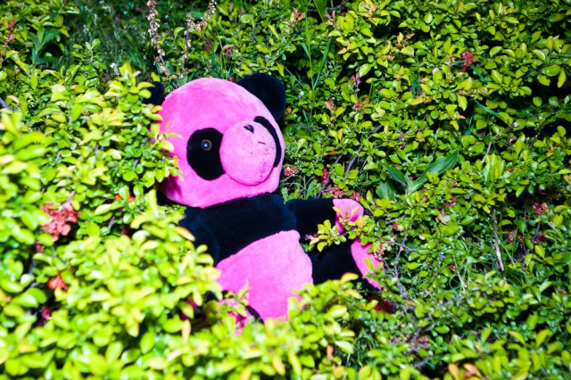 25/05/11 Open-Air Fest «Телепортация» @ ЦТДиМ «Виктория»