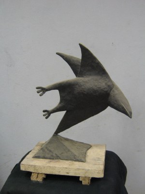 Финский Павел "Птица"