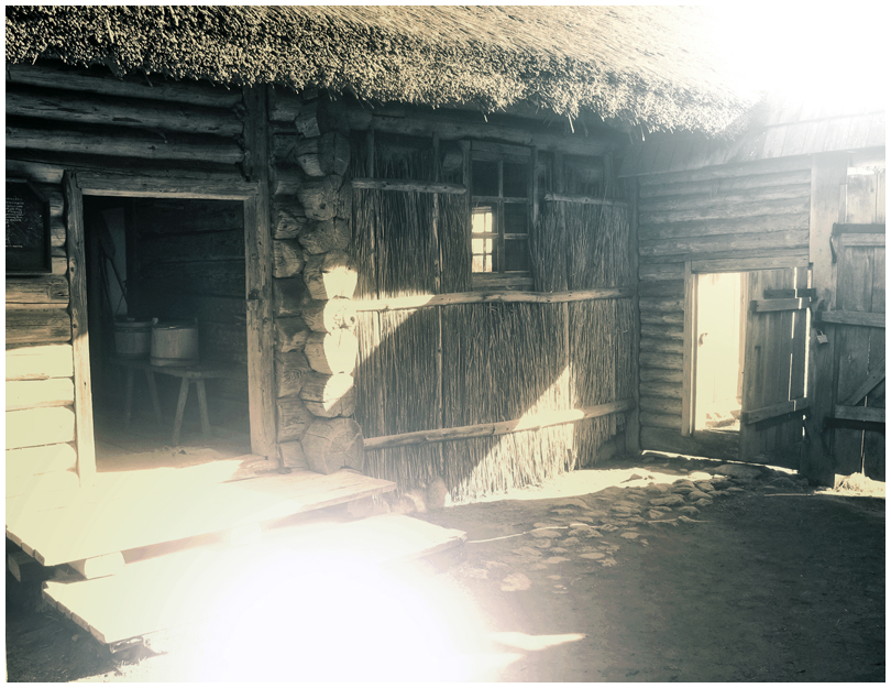 Женя Матюто (Cowek)