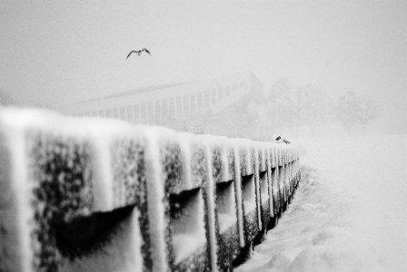 Юрий Кузнецов "Кино"